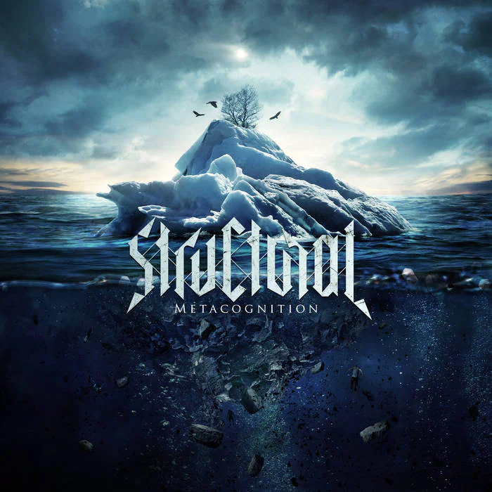 Metacognition album cover